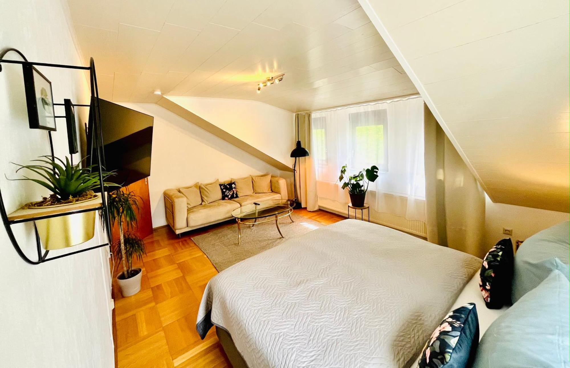 Casa Inn Parkview - Relax & Chill - Perfect For Business Travel, Weekend Trip, Family&Friends, Dogs Lover, Romance, Layover Or Longstay Limburg an der Lahn Exterior foto